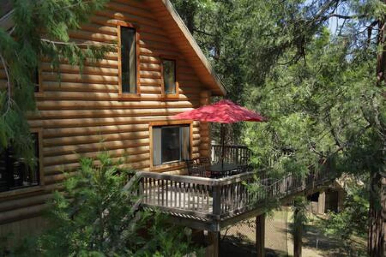 Eagles Nest - Natural Log Cabin With Guest House 아이딜와일드 외부 사진